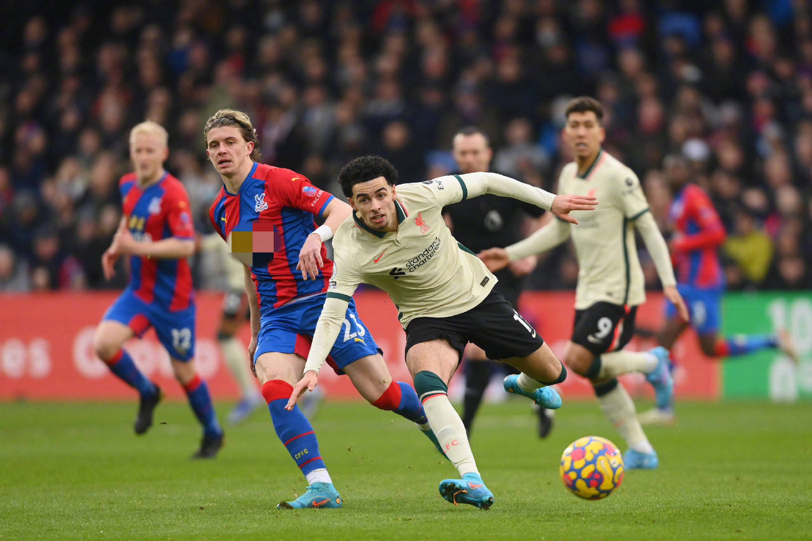 的成功并非 的成功并非